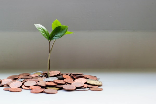 Maximizing Your Social Security Benefits
