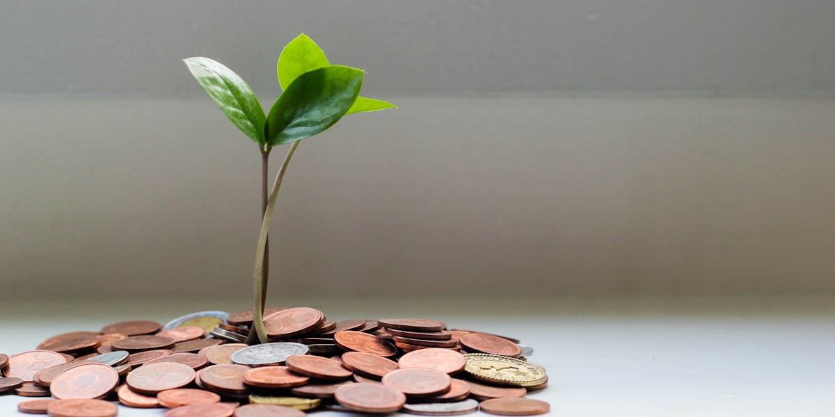 Maximizing Your Social Security Benefits