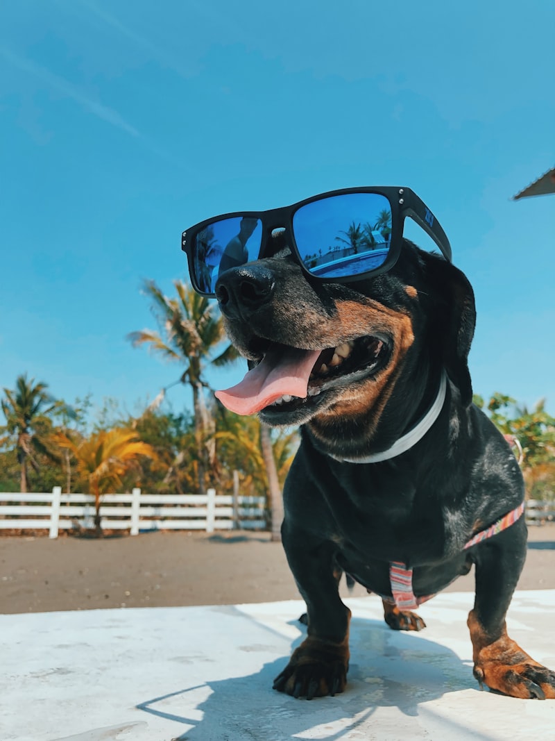 How to Minimize Taxes on Retirement Income: A Complete Strategy