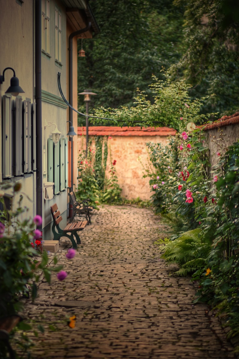 Retiring in Costa Rica: Tax Strategy, Popular Expat Destinations & Cost of Living Guide