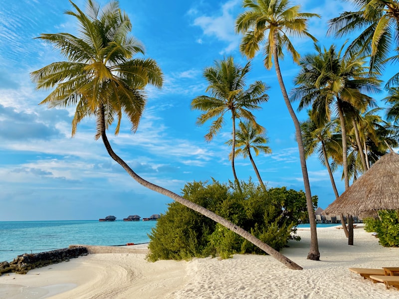 Retiring in St. Martin: A Complete Guide to Island Living and Lower Costs