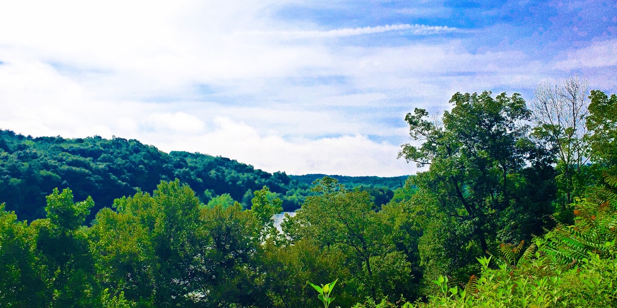 Asheville, United States