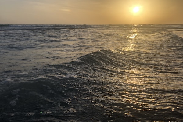 Sarasota, United States