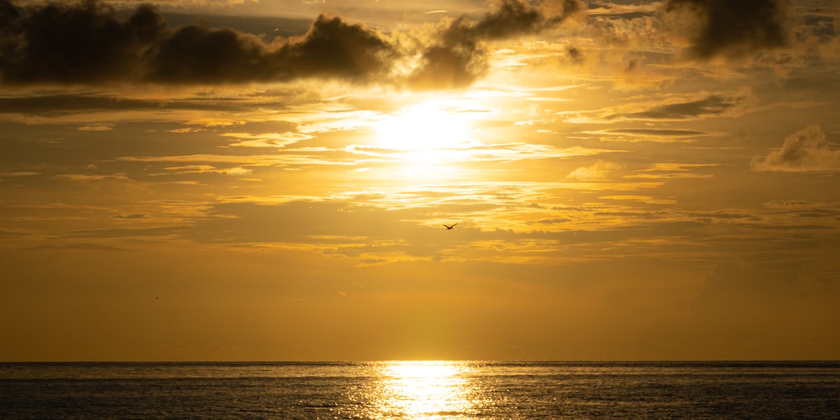 Sarasota, United States